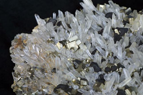 中文名:黃鐵礦(NMNS000393-P002053)英文名:Pyrite(NMNS000393-P002053)