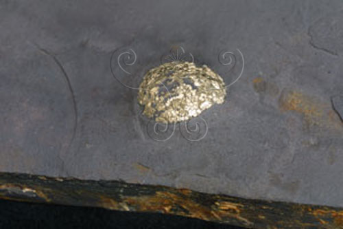 中文名:黃鐵礦(NMNS000906-P003262)英文名:Pyrite(NMNS000906-P003262)