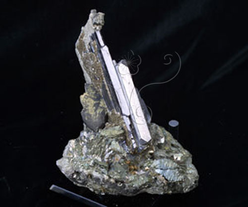 中文名:磁黃鐵礦(NMNS000906-P003271)英文名:Pyrrhotite(NMNS000906-P003271)