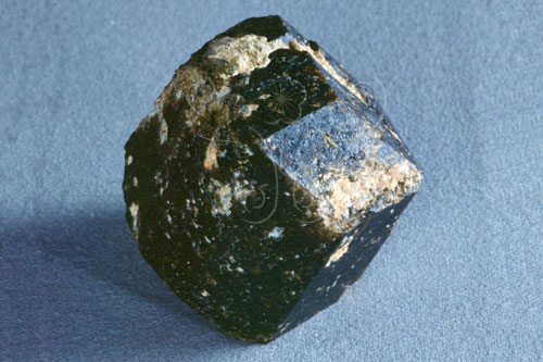 中文名:鎂電氣石(NMNS000273-P001736)英文名:Dravite(NMNS000273-P001736)