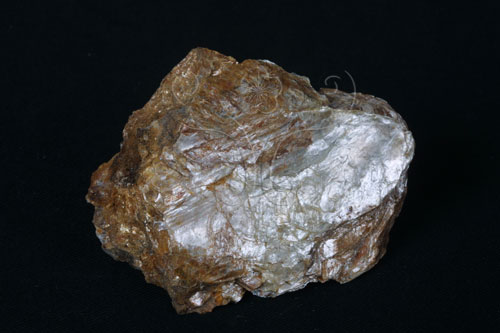 中文名:白雲母(NMNS000161-P000822)英文名:Muscovite(NMNS000161-P000822)