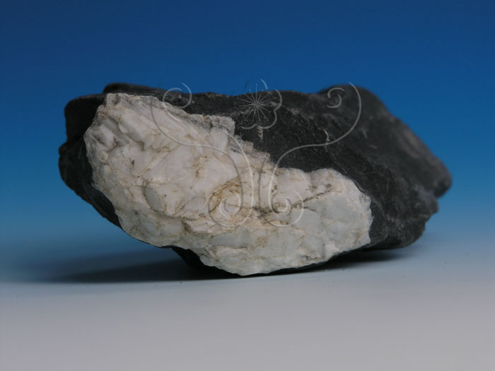 中文名:硬頁岩(含石英脈)(NMNS005034-P012261)英文名:Argillite(NMNS005034-P012261)