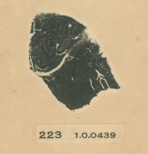 甲骨文拓片（登錄號：188477-0223）