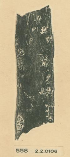 甲骨文拓片（登錄號：188477-0558）