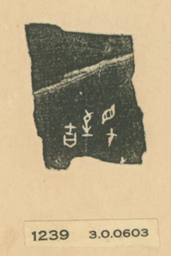 甲骨文拓片（登錄號：188477-1239）
