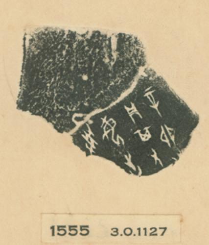 甲骨文拓片（登錄號：188477-1555）