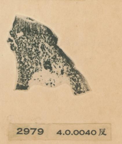 甲骨文拓片（登錄號：fsnrb188477-2979）