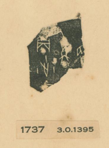 甲骨文拓片（登錄號：fsnrb188477-1737）