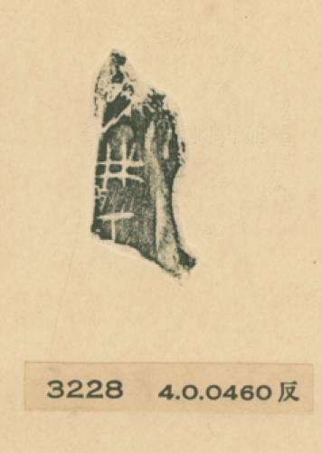 甲骨文拓片（登錄號：188477-3228）