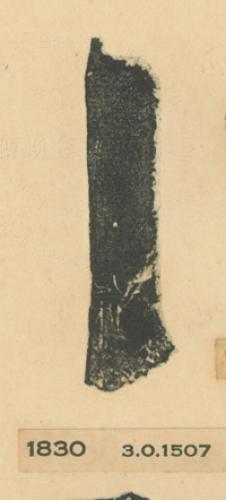 甲骨文拓片（登錄號：fsnrb188477-1830）