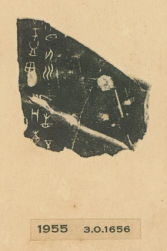 甲骨文拓片（登錄號：188477-1955）