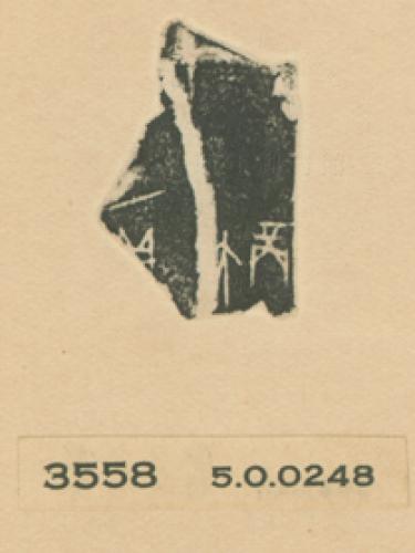 甲骨文拓片（登錄號：188477-3558）