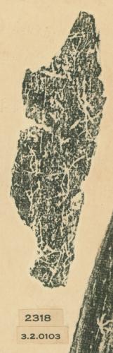 甲骨文拓片（登錄號：188477-2318）
