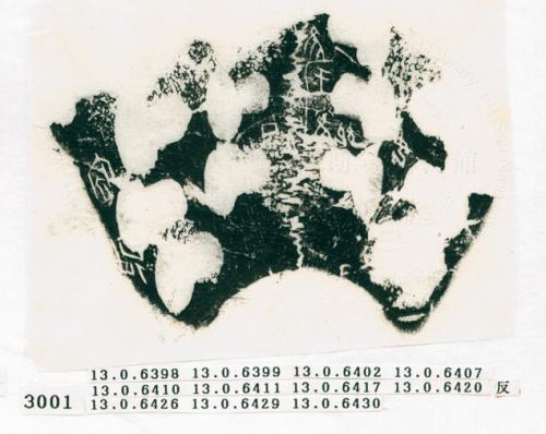 甲骨文拓片（登錄號：188572-3001）