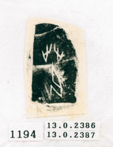 甲骨文拓片（登錄號：188571-1194）
