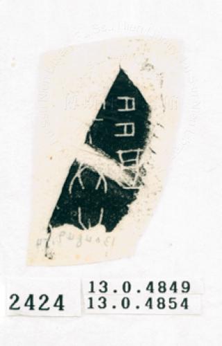 甲骨文拓片（登錄號：188572-2424）
