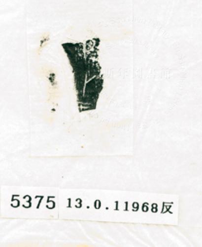 甲骨文拓片（登錄號：188574-5375）