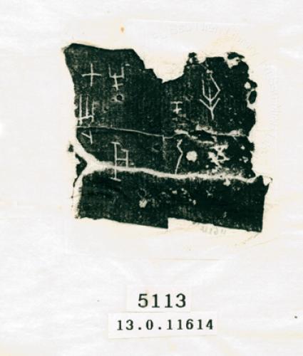 甲骨文拓片（登錄號：188574-5113）
