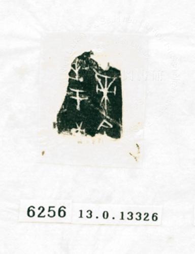 甲骨文拓片（登錄號：188574-6256）
