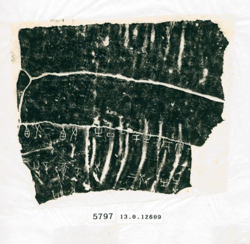 甲骨文拓片（登錄號：188574-5797）