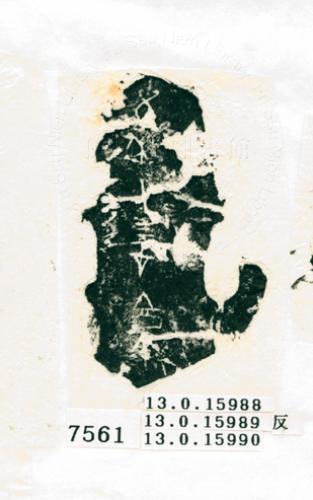 甲骨文拓片（登錄號：188576-7561）