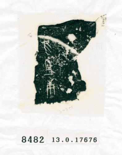 甲骨文拓片（登錄號：188576-8482）