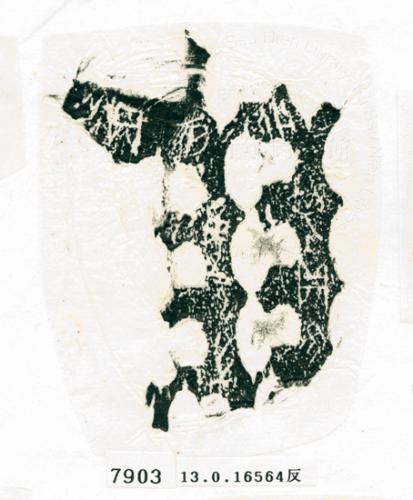 甲骨文拓片（登錄號：188576-7903）