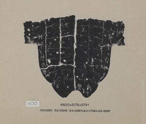 甲骨文拓片（登錄號：188491-0300）