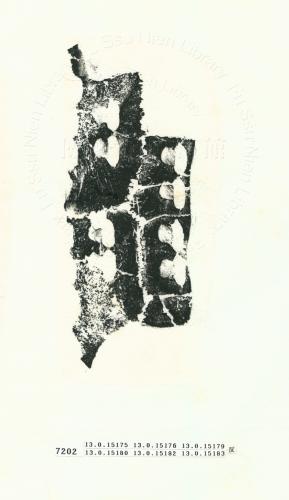 甲骨文拓片（登錄號：188575-7202）