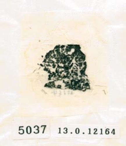 甲骨文拓片（登錄號：188579-5037）