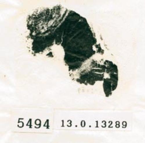 甲骨文拓片（登錄號：188579-5494）