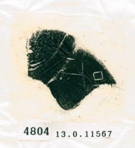 甲骨文拓片（登錄號：188578-4804）