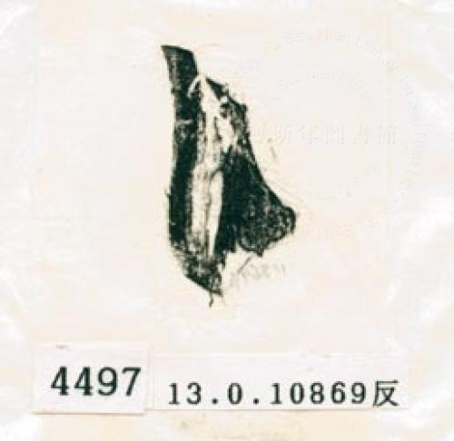 甲骨文拓片（登錄號：188578-4497）