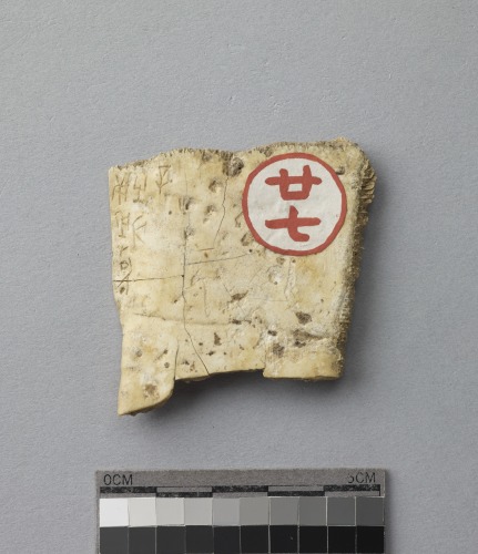 遺物:龜甲卜辭殘片