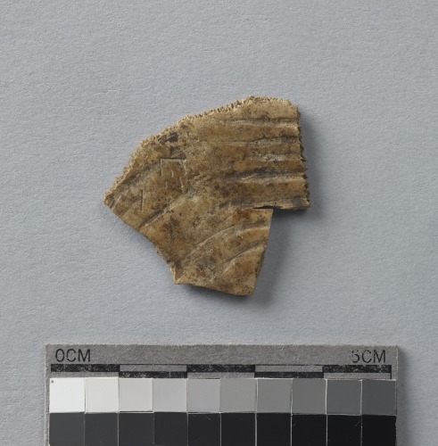 遺物:龜甲卜辭殘片