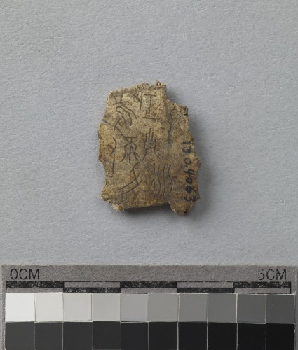 遺物:龜甲卜辭殘片