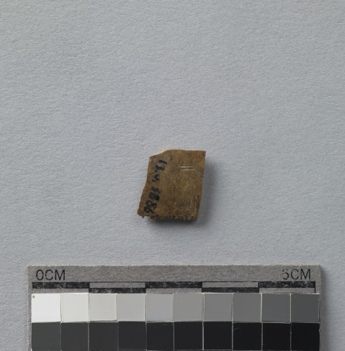 遺物:龜甲卜辭殘片