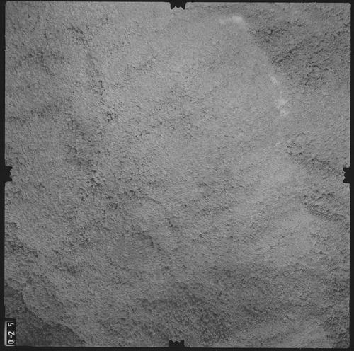 任務編號:79P46-1航照名稱:79p046a_025航照編號:79p046a_025