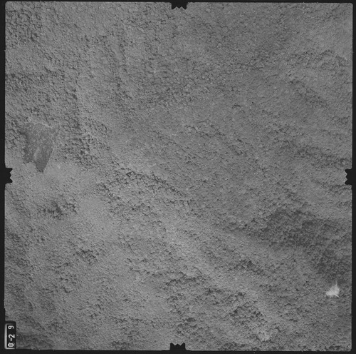 任務編號:79P46-1航照名稱:79p046a_029航照編號:79p046a_029