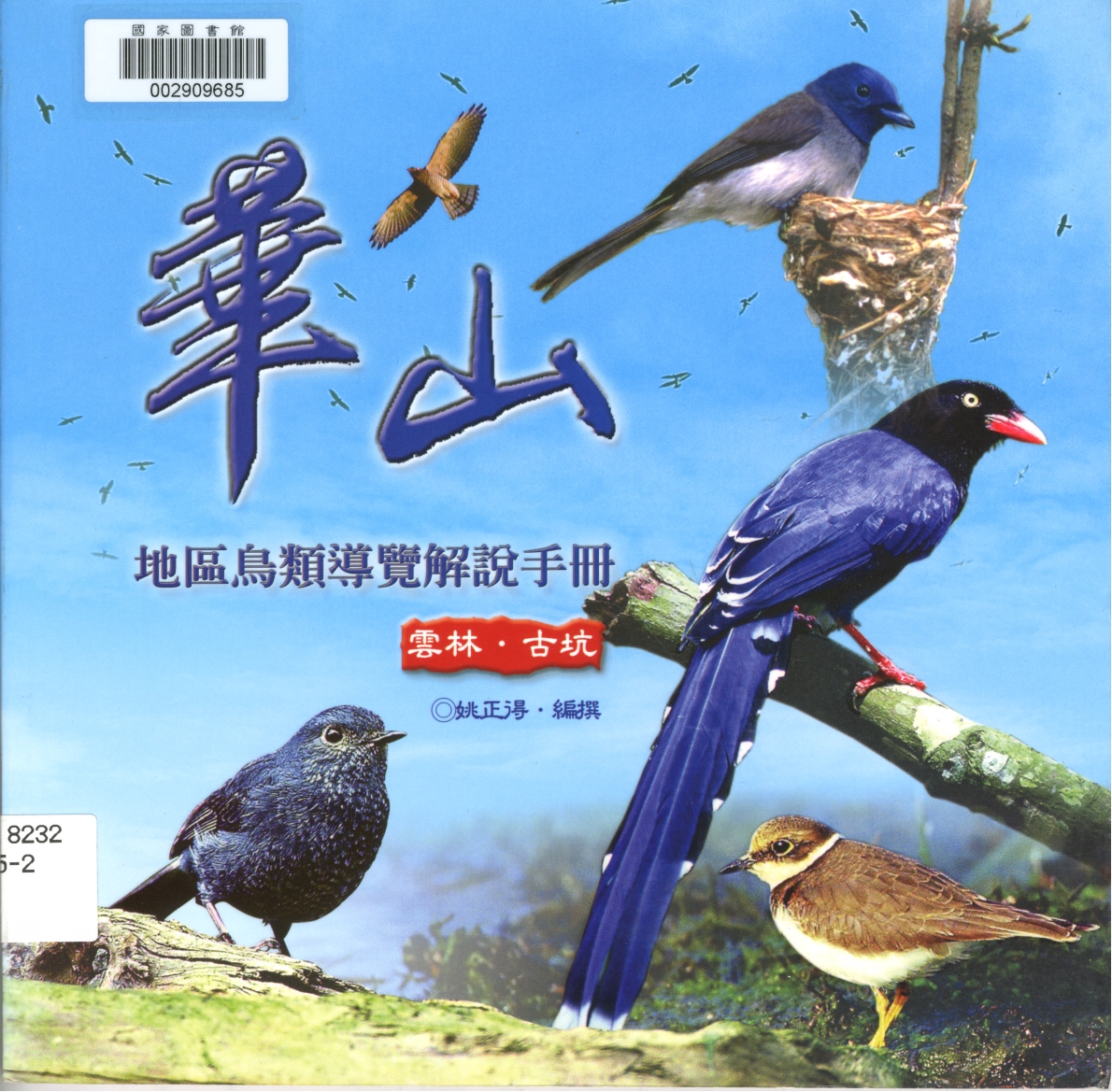 鴉科（巨嘴鴉、樹鵲、松鴉、台灣藍鵲）出自：華山地區鳥類導覽解說手冊