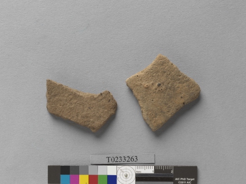 遺物：繩紋夾砂陶腹片