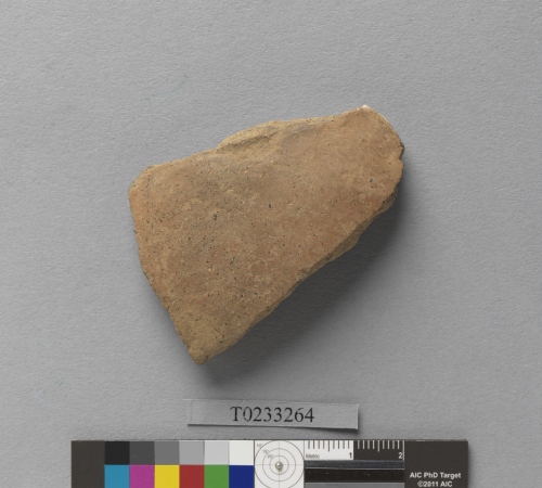 遺物：泥質陶腹片