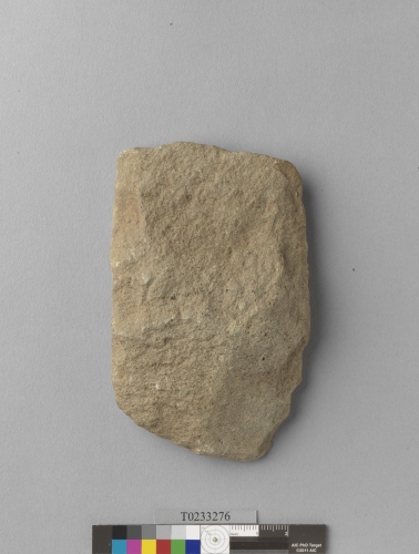 遺物：打製石斧