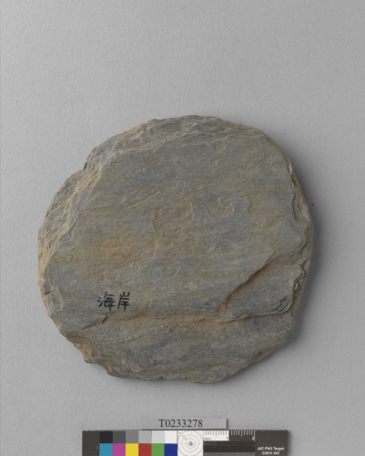 遺物：打製圓盤