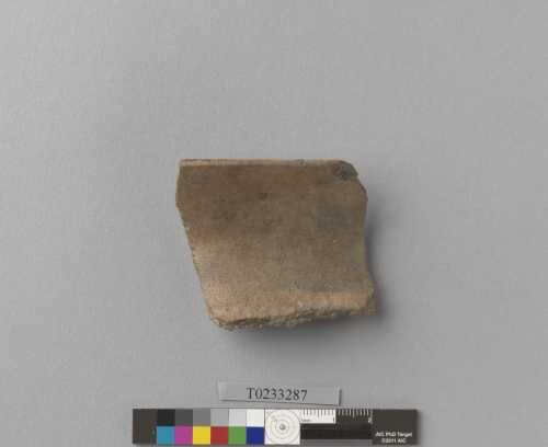 遺物：硬陶罐口緣