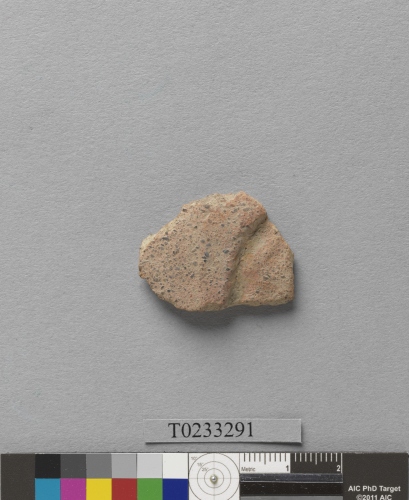 遺物：夾砂陶腹片