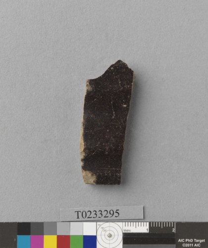 遺物：醬釉硬陶腹片