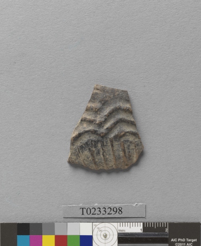 遺物：幾何印紋硬陶腹片