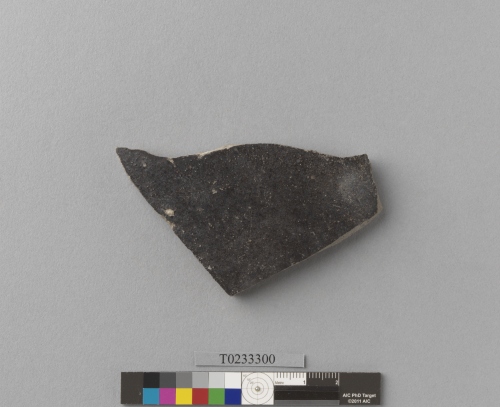 遺物：黑釉硬陶腹片