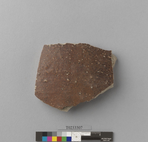 遺物：醬釉硬陶腹片